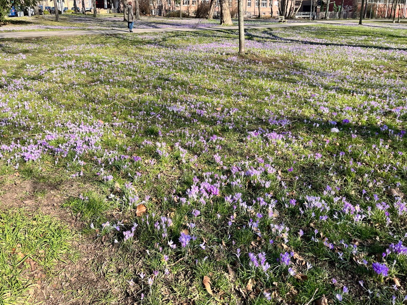 23-02-13 13-34-51 4200